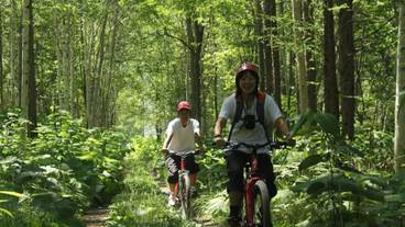 施設の敷地 / 11