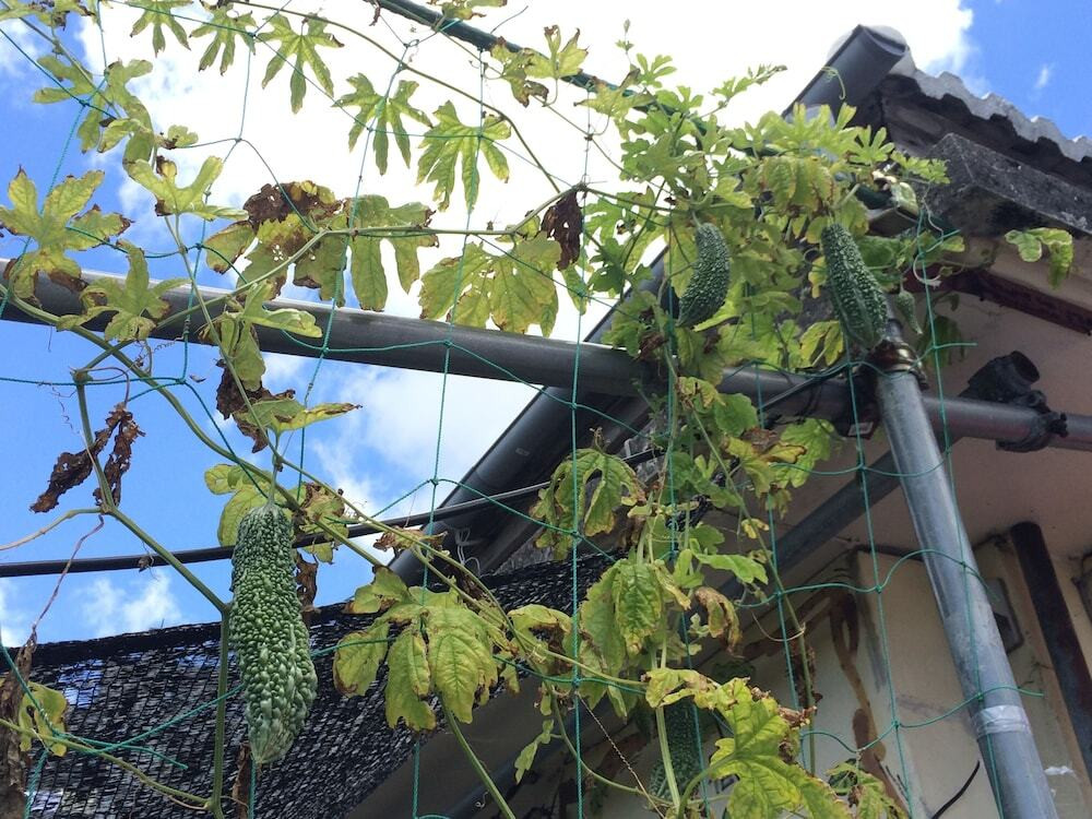 施設からの眺望