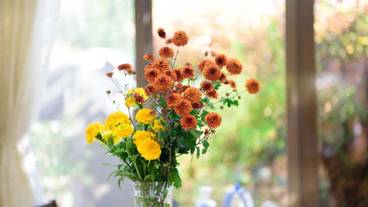 内部エントランス / 2