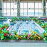 アクアパレス 屋内エリア / 3