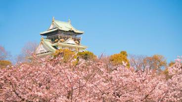 観光スポット / 4