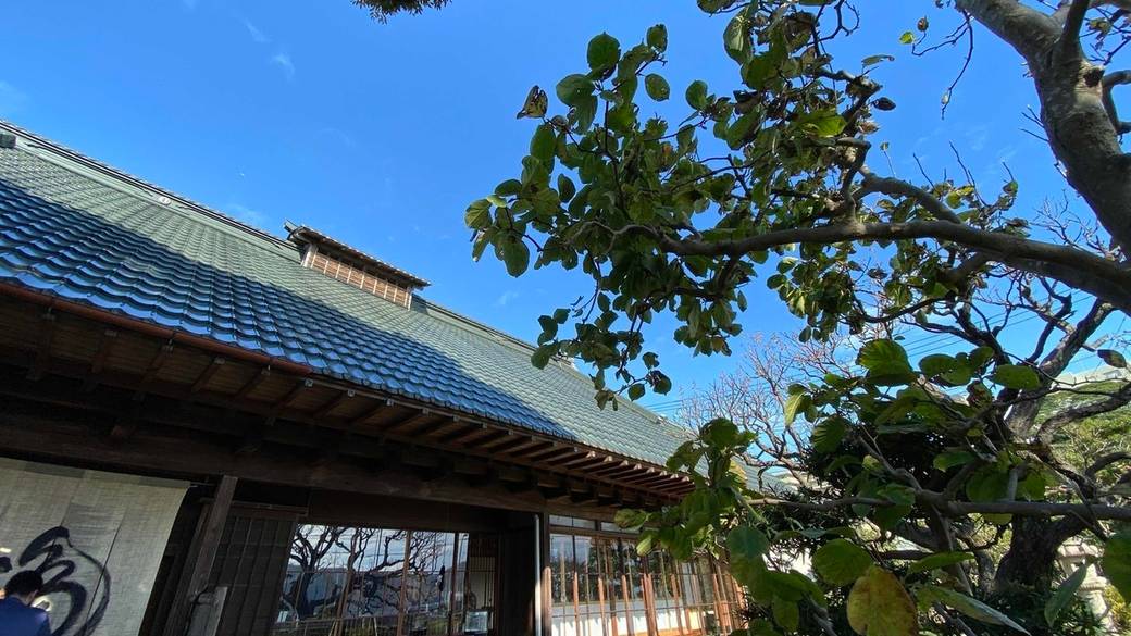 お庭を見ながら
美味しいお蕎麦を / 2