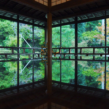 白巖山 青林寺(はくがんざん せいりんじ)3708608