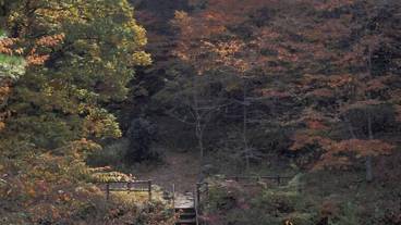 庭園 / 21