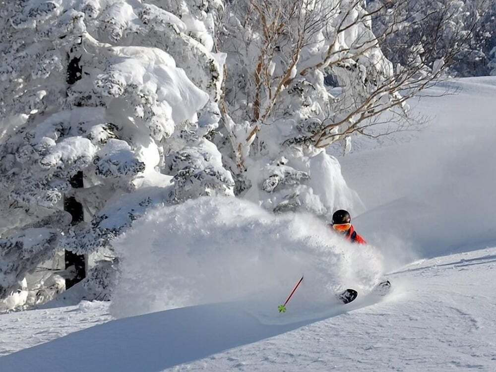 スノー スポーツとスキー