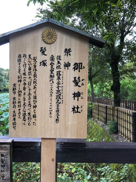 chiaki_k916さんの写真 / 3