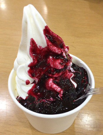 「CAFE NORTE Sapporo」料理 1147983 おこっぺ町ノースブレインファームのソフトクリーム　ハスカップソーストッピング　350円
