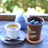 土花土花（ドカドカ）