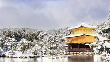 シティ ビュー / 8