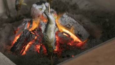 食事・飲み物 / 6