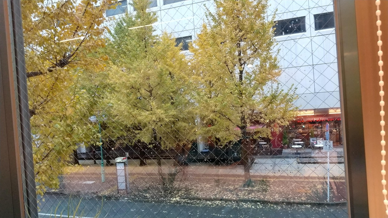 ラウンジの窓からの眺め