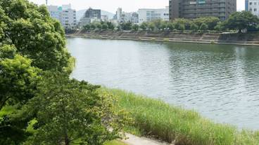 部屋からの景観 / 19