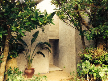 6.Birth the suite4248932