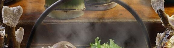 【関東・甲信越】ジビエが食べられる旅館4選｜野生の恵みを頂く