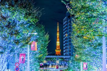 Roppongi Illumination