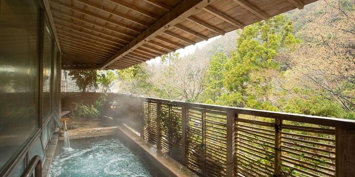 塩江温泉 新樺川観光ホテル（香川県 旅館） / 1