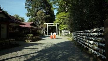 観光スポット / 40