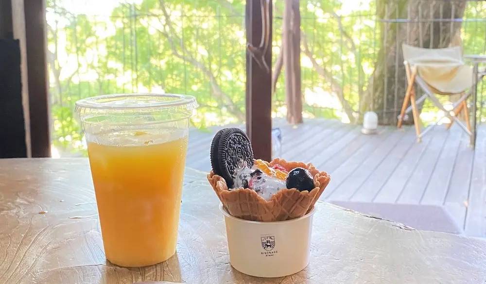 ツリーハウスでのティータイムは童心に返ってワクワク♪夏に行ったので夏休み気分に浸りました。