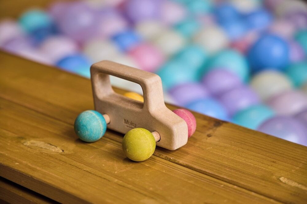 子供用の遊び場 - 屋内