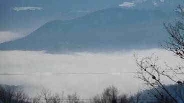 マウンテン ビュー / 31