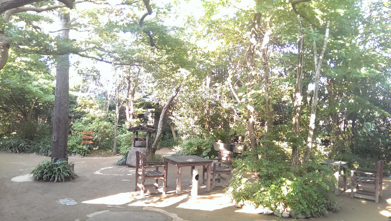 のどかな自然の中で無農薬&無添加の自然食懐石を3926117