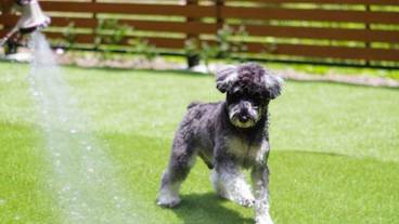 施設内の設備 / 11