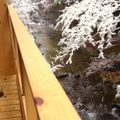 せせらぎの宿 弥仙館（奈良県 旅館） / 3