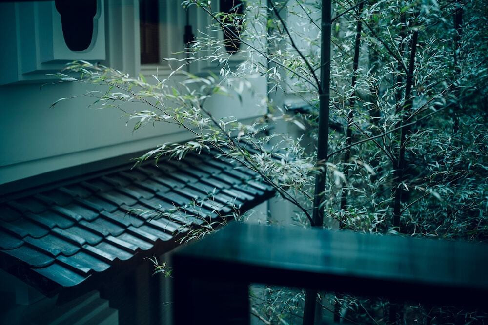 中庭の竹林③