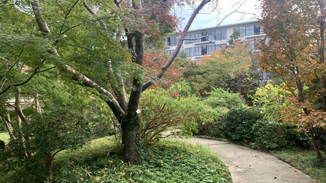 早朝散策＆足湯で
爽やかな1日の始まり / 3