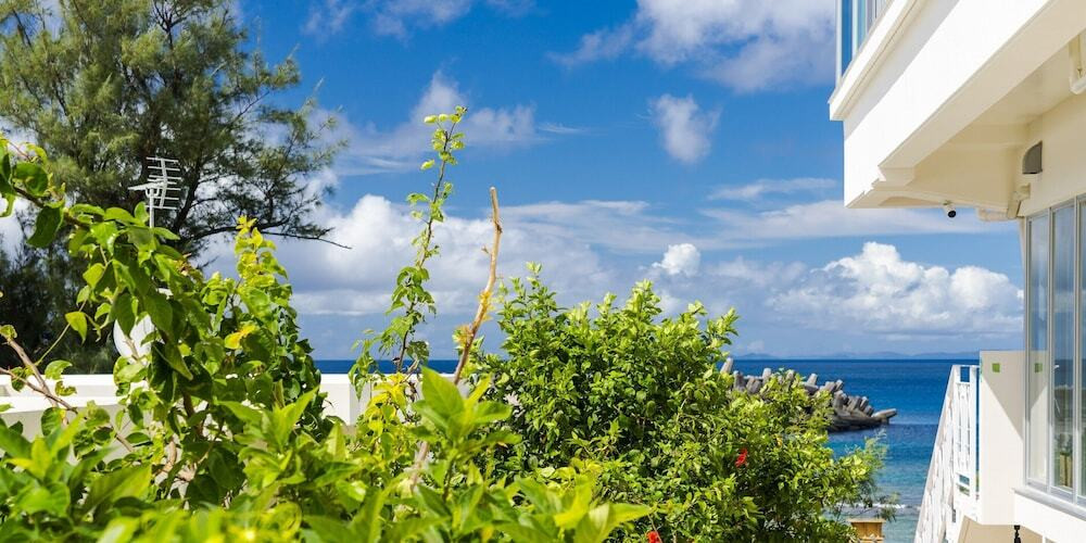 ビーチ / オーシャン ビュー