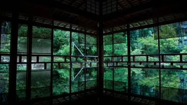青林寺 / 4
