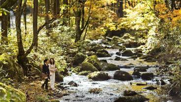 施設の敷地 / 18