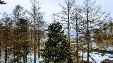 レイク ビュー / 15