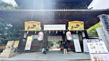 観光スポット / 5