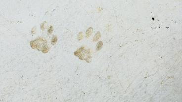 施設からの眺望 / 14