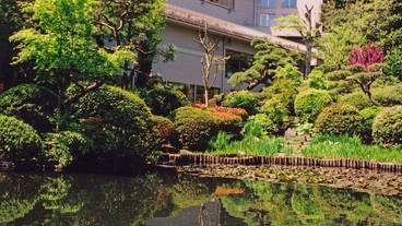 テラス / パティオ / 24