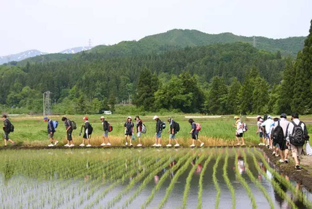 バーベキュー / ピクニック エリア