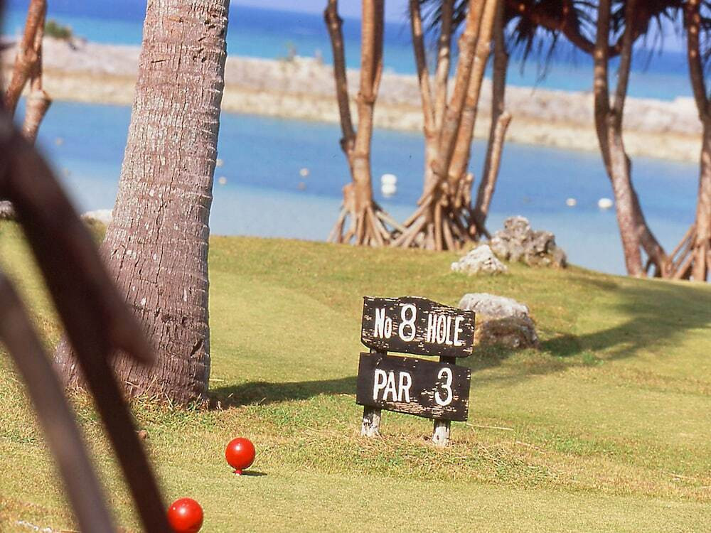 アクティビティ ゴルフ