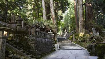 観光スポット / 24