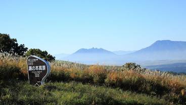 施設の敷地 / 10