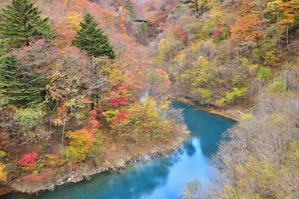 自然の中でゆったり深呼吸。群馬県「四万温泉」へ3725044