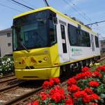 1日乗って楽しもう♪路面電車「都電荒川線」でプチ旅行！