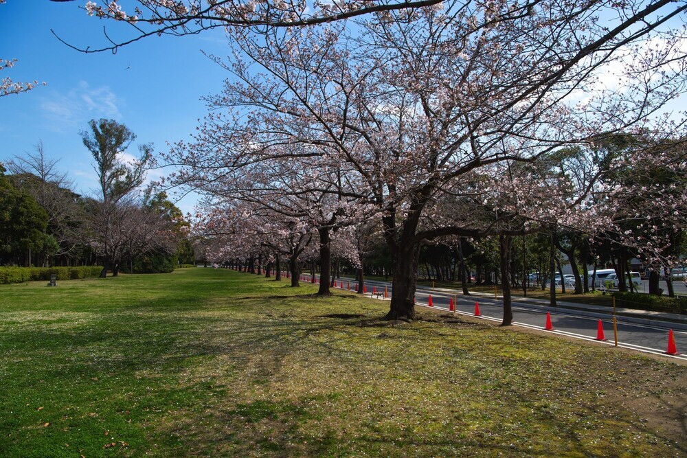 施設からの眺望