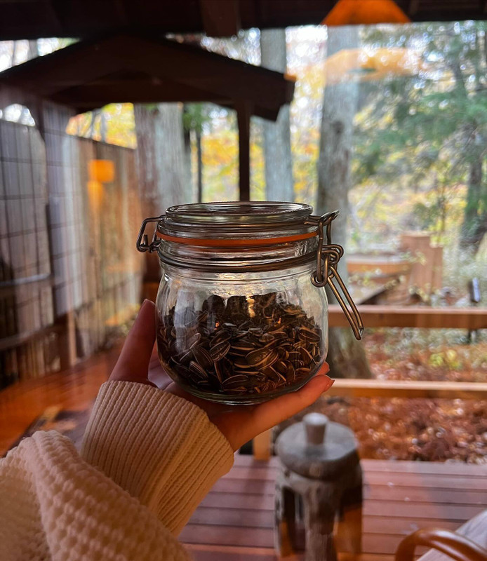 potatohead0430さんの写真 / 4