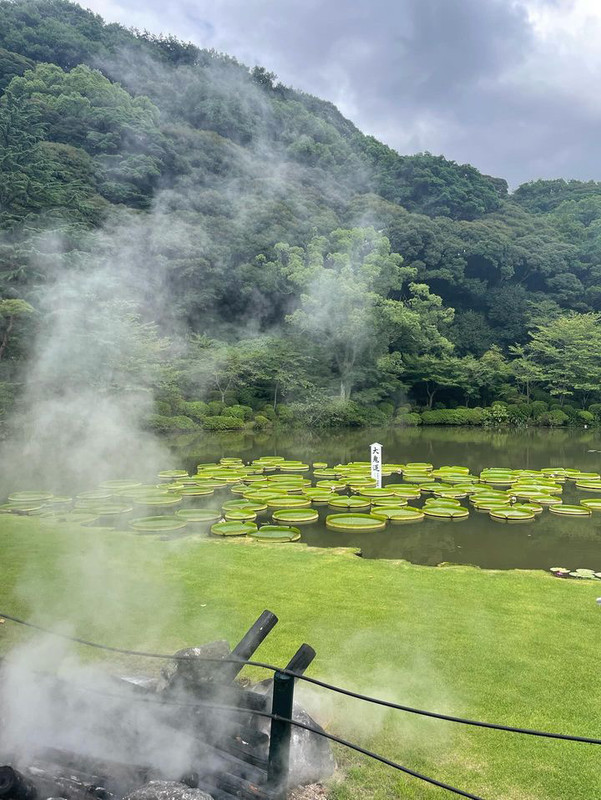 yseat_さんの写真 / 2