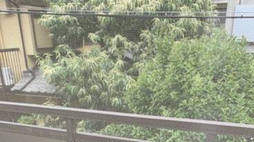 部屋からの景観 / 39