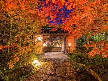 こころをなでる静寂 みやこ846376