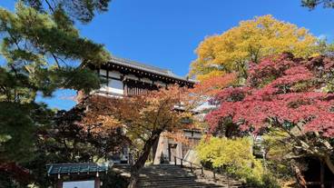 観光スポット / 8