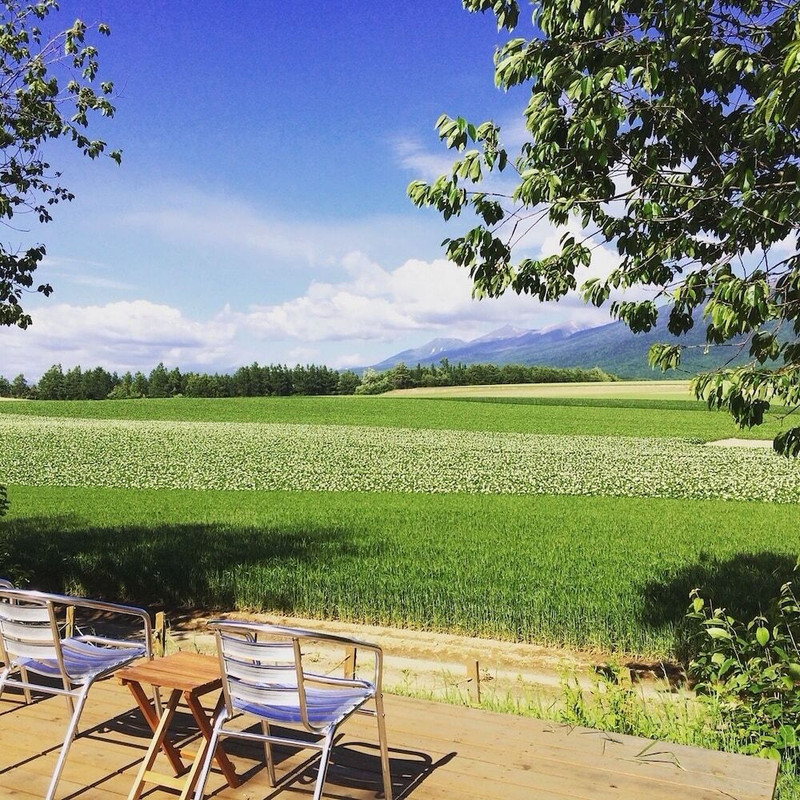 テラス / パティオ