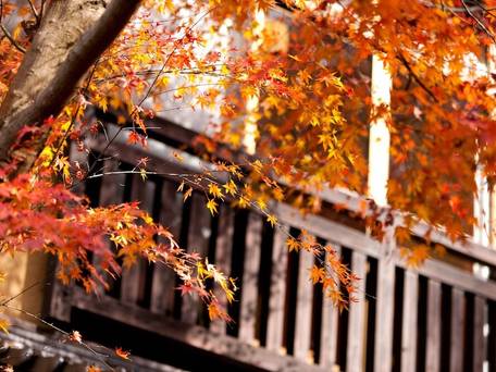 黒川温泉 歴史の宿 御客屋 / 3